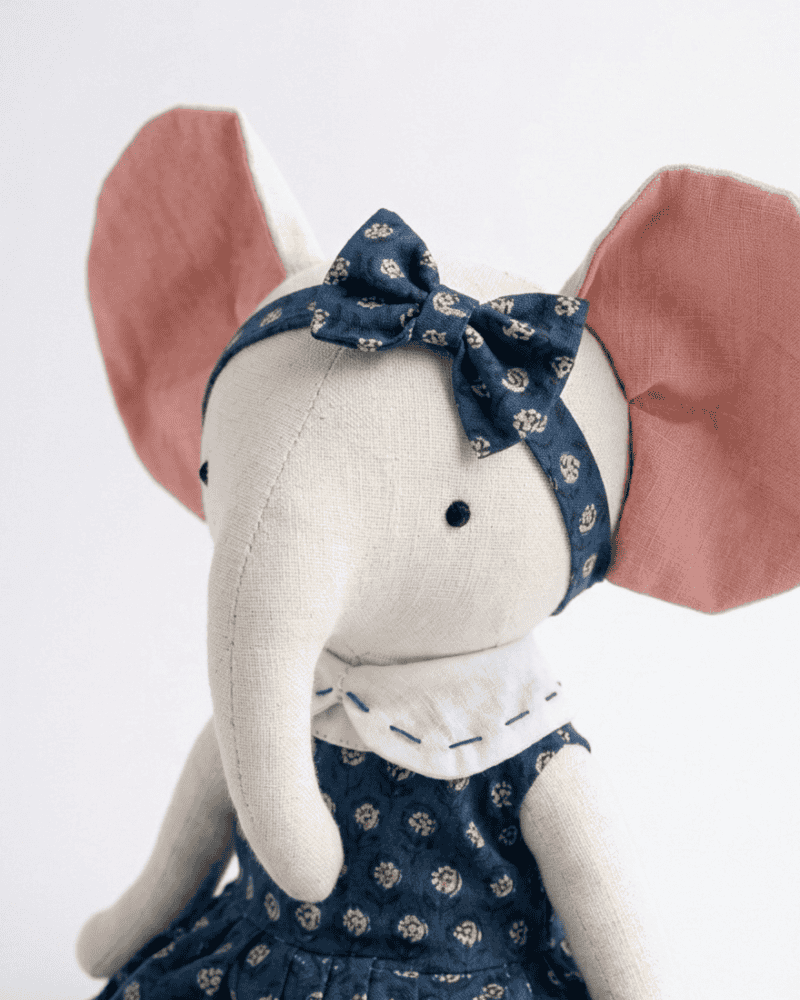 Aanya, the elephant