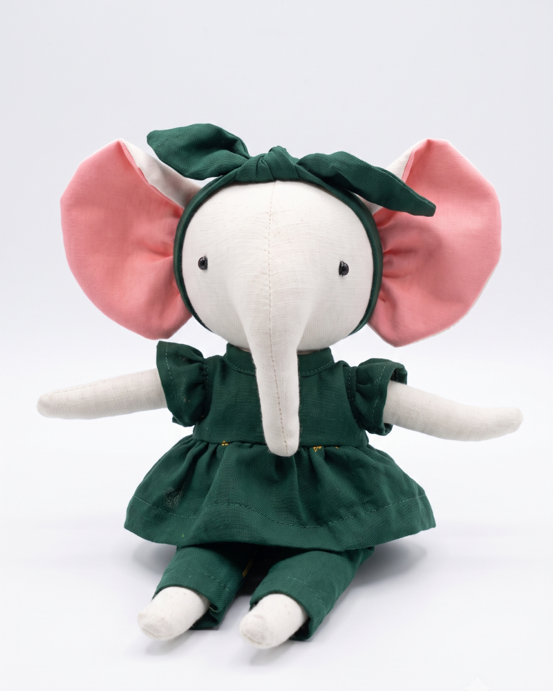 Aanya, the elephant