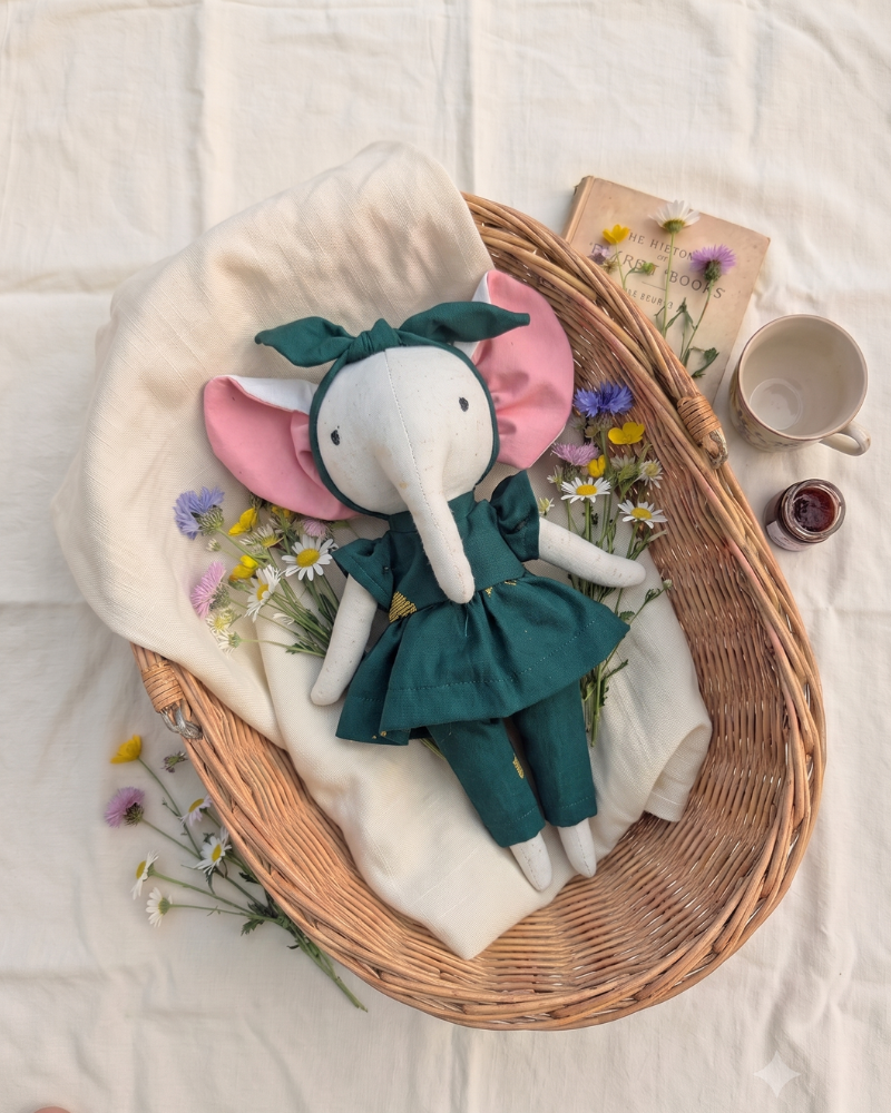 Aanya, the elephant
