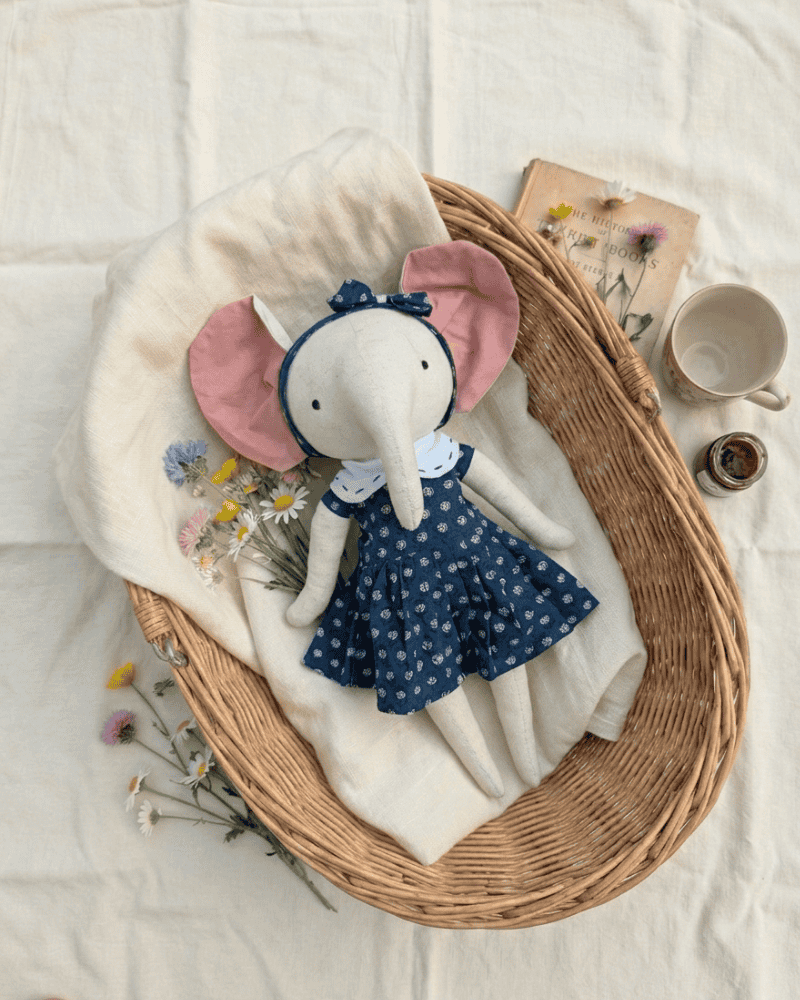 Aanya, the elephant