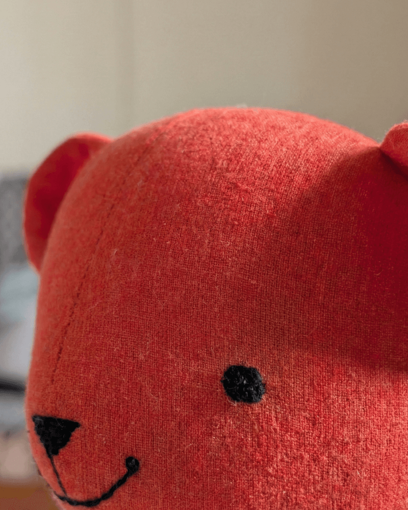 Close-up of a red teddy bear with a blurred background